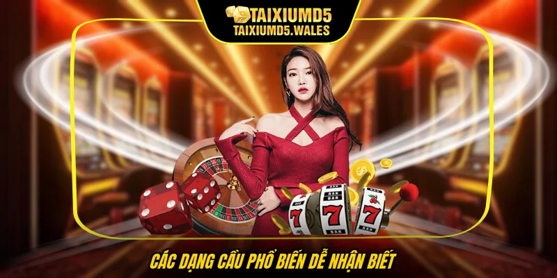 Các dạng cầu phổ biến dễ nhận biết