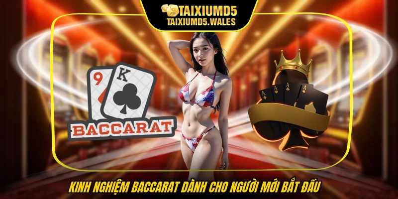 Kinh nghiệm baccarat dành cho người mới bắt đầu