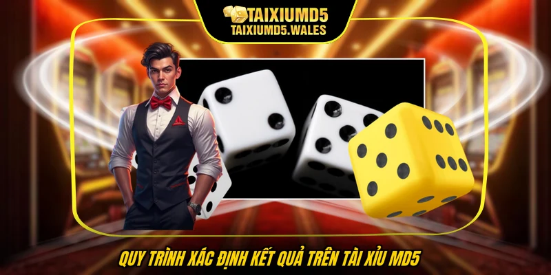 Quy trình xác định kết quả trên Tài Xỉu MD5